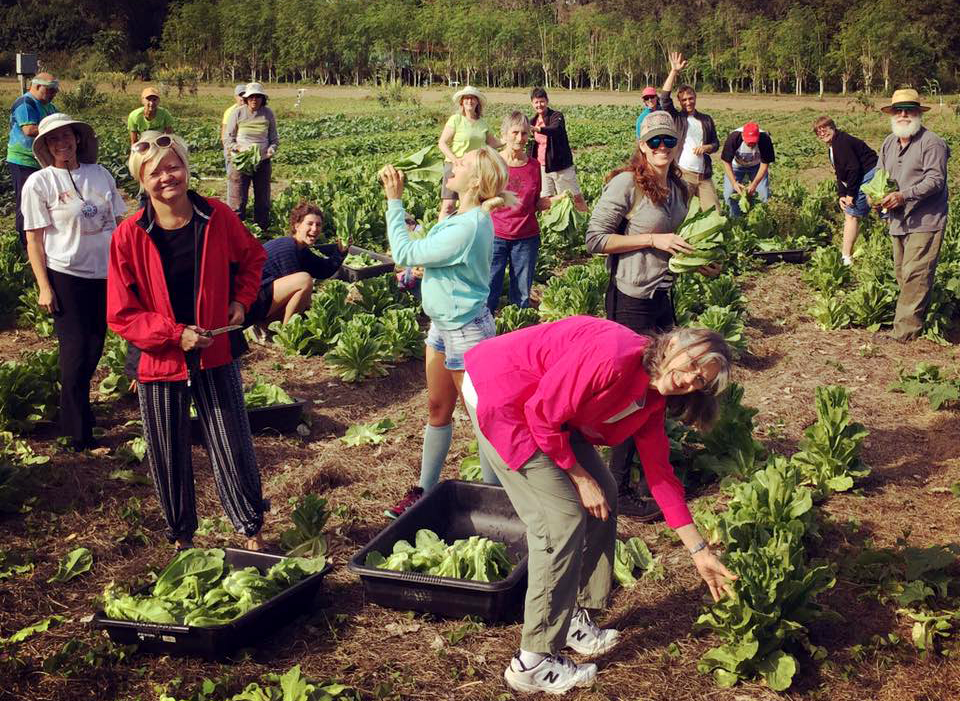 Jessicas Organic Farm | 4180 47th St, Sarasota, FL 34235, USA | Phone: (941) 363-1586