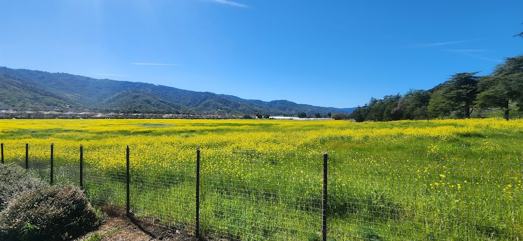 Good Shepherd Lutheran Church | 1735 Hecker Pass Rd, Gilroy, CA 95020, USA | Phone: (408) 842-2713