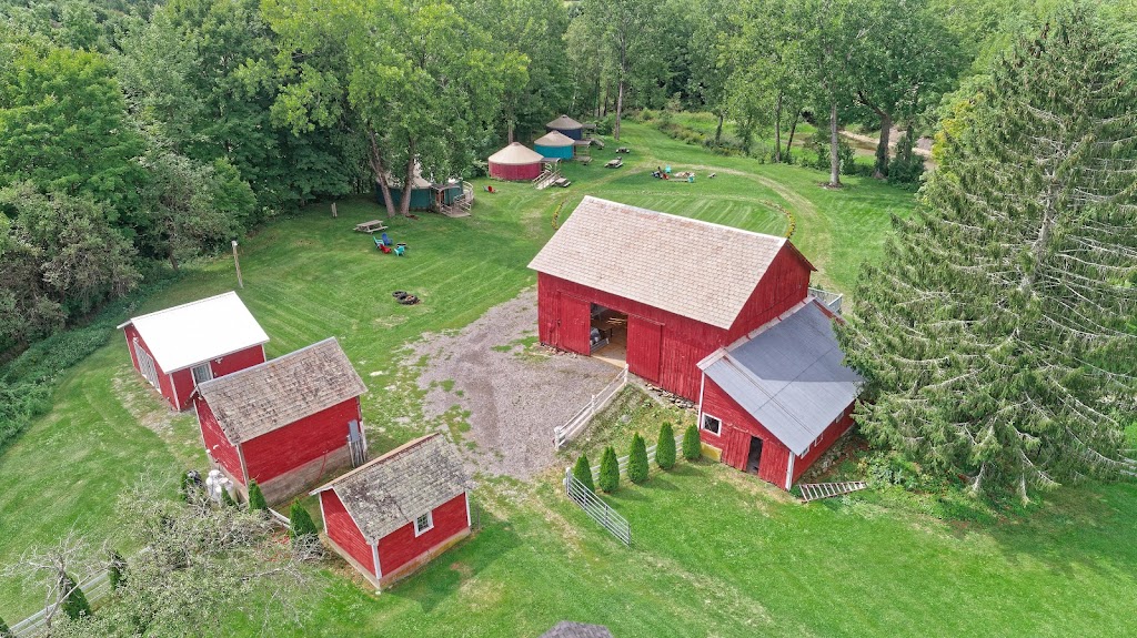 Andelyn Farm | 5499 County Rte 30, Granville, NY 12832, USA | Phone: (518) 240-4104