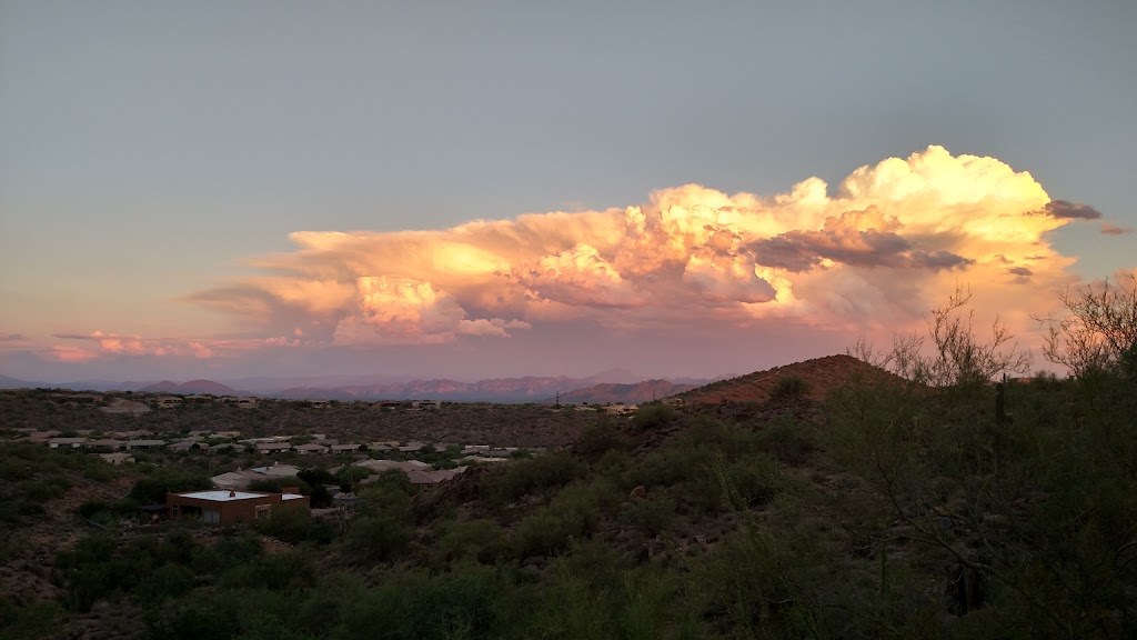 US Steam Action | 14451 E Charter Oak Dr, Scottsdale, AZ 85259, USA | Phone: (602) 679-3851