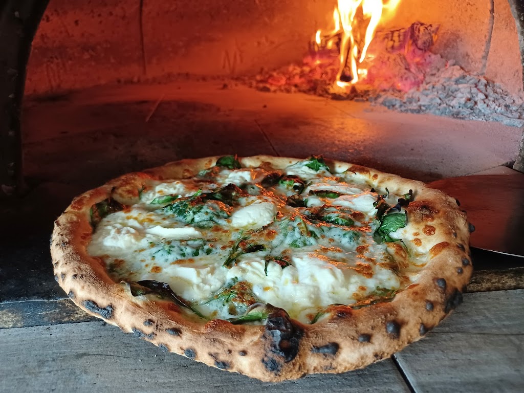 Wood Fire Pizza | 14298 Spring Hill Dr, Spring Hill, FL 34609, USA | Phone: (352) 556-8899