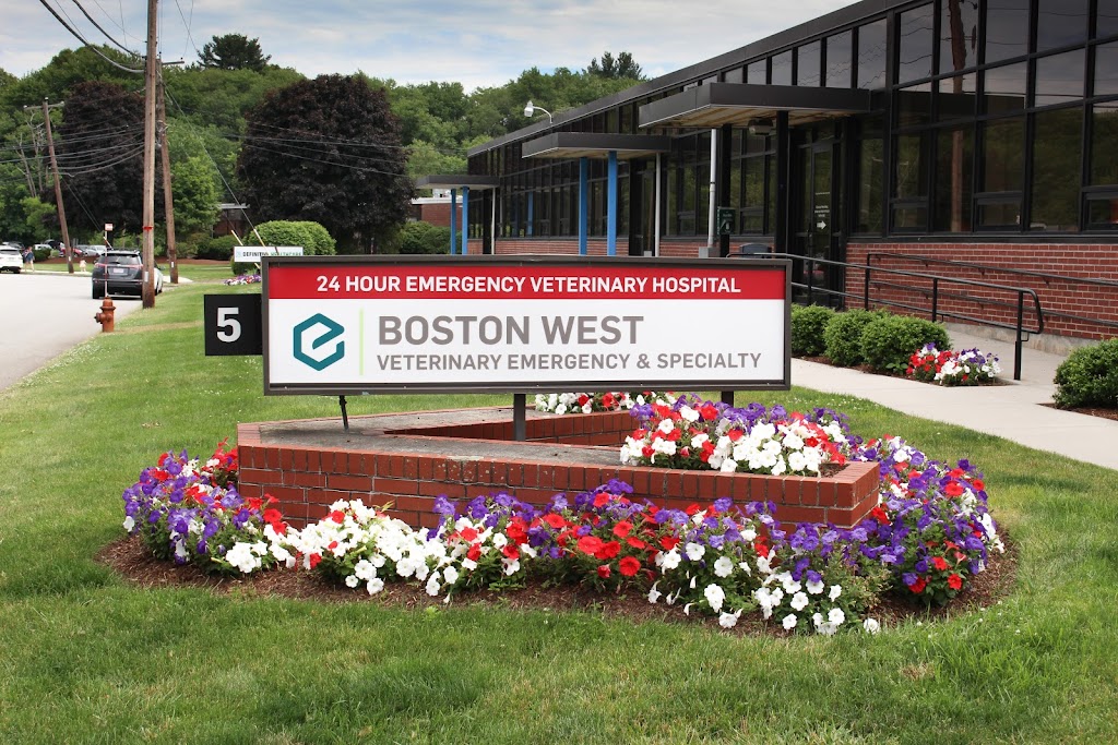 Boston West Veterinary Emergency & Specialty | 5 Strathmore Rd, Natick, MA 01760, USA | Phone: (508) 319-2117