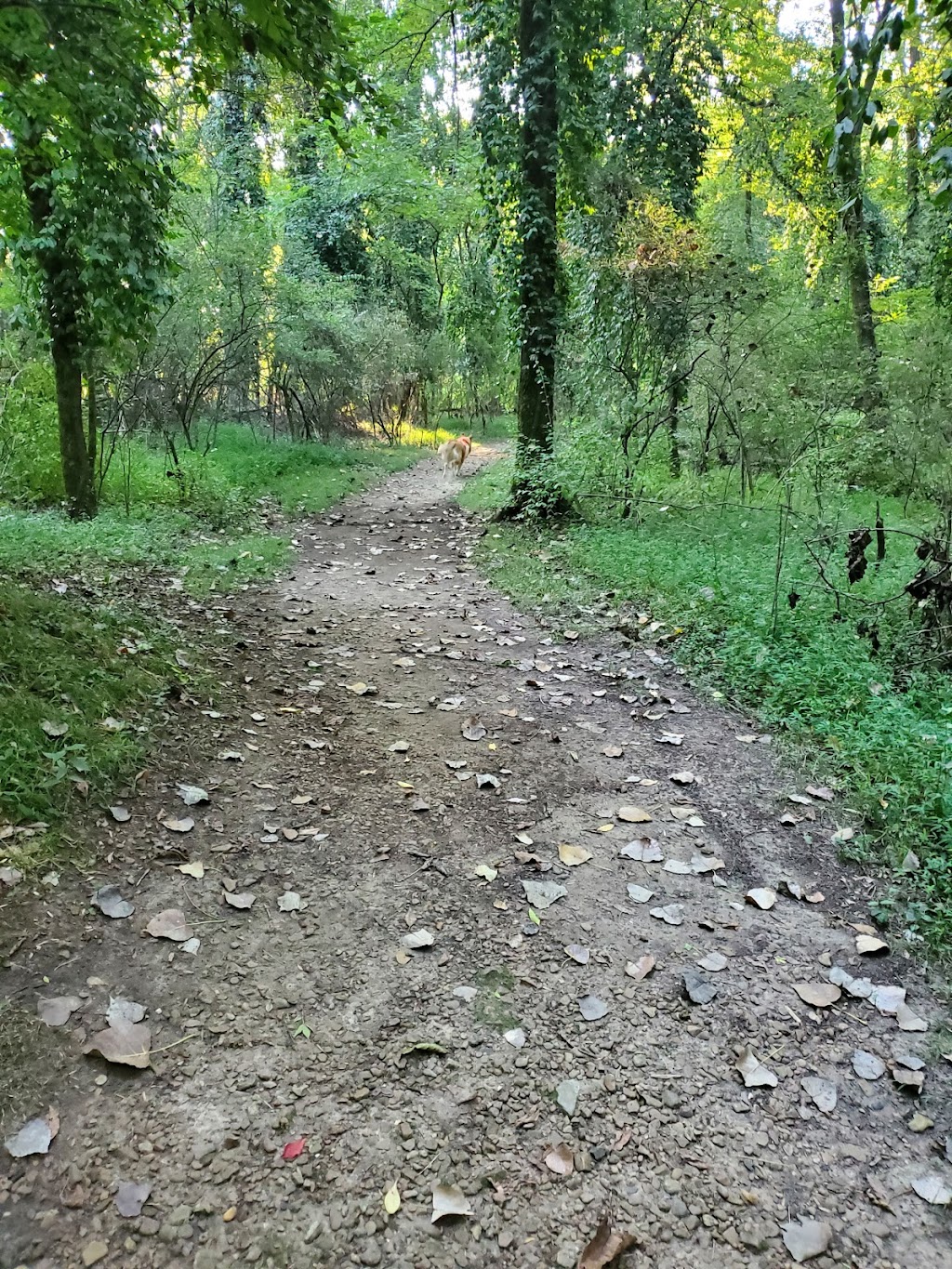 Tailwater Access Area | 1250 Cinder Rd, Old Hickory, TN 37138, USA | Phone: (615) 862-8400
