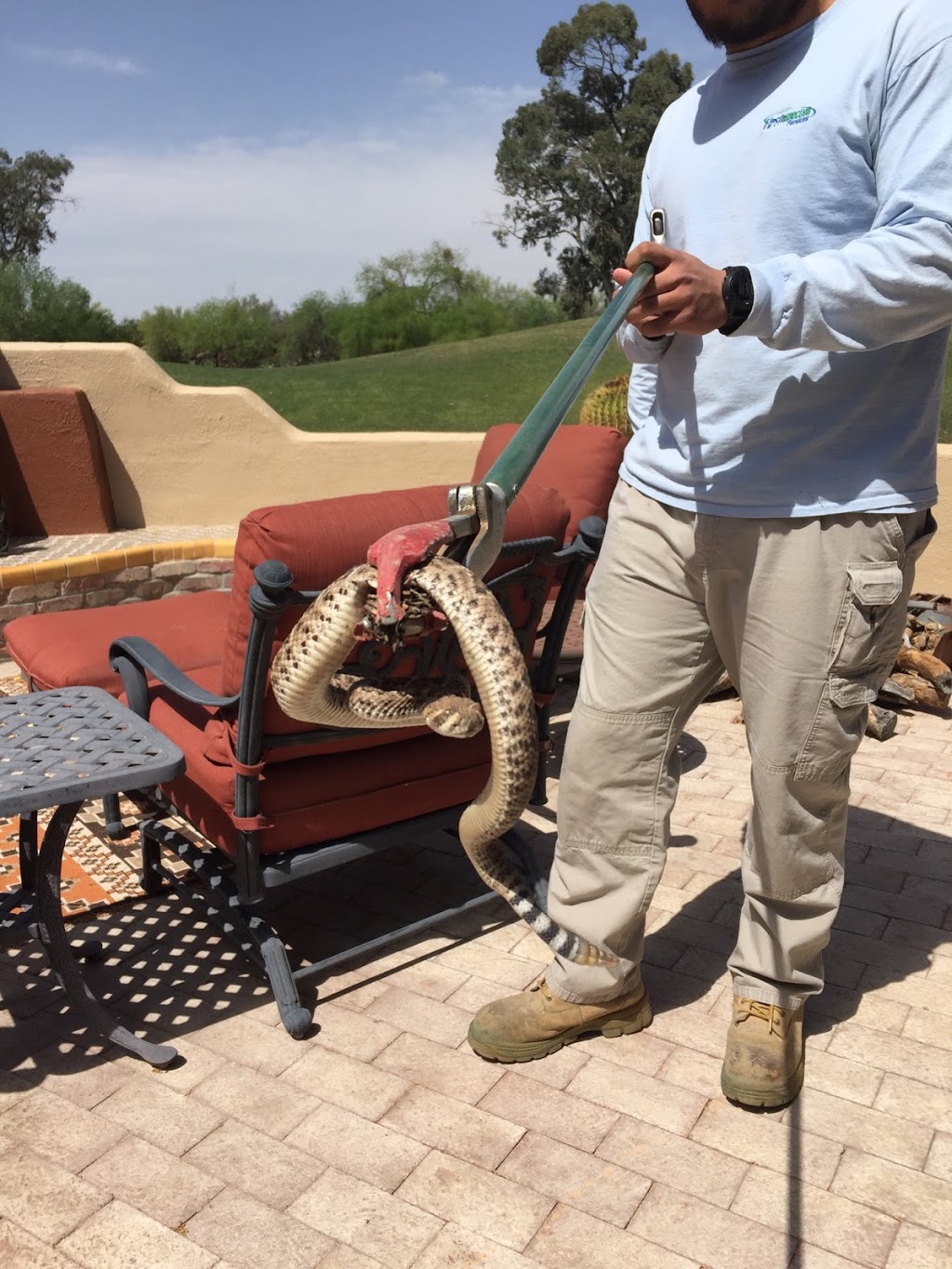 First Inspection Services Inc. | 12440 N La Cholla Blvd, Tucson, AZ 85755, USA | Phone: (520) 818-2238 First Inspection Services Inc. | 12440 N La Cholla Blvd, Tucson, AZ 85755, USA | Phone: (520) 818-2238