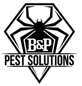 B&P Pest Solutions LLC | 1317 Spring Lake Rd, Newcastle, OK 73065, USA | Phone: (405) 761-0757