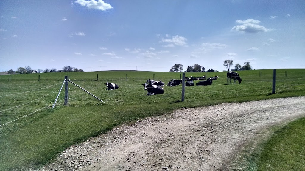 Hinchleys Dairy Farm Tours | 2844 WI-73, Cambridge, WI 53523, USA | Phone: (608) 764-5090