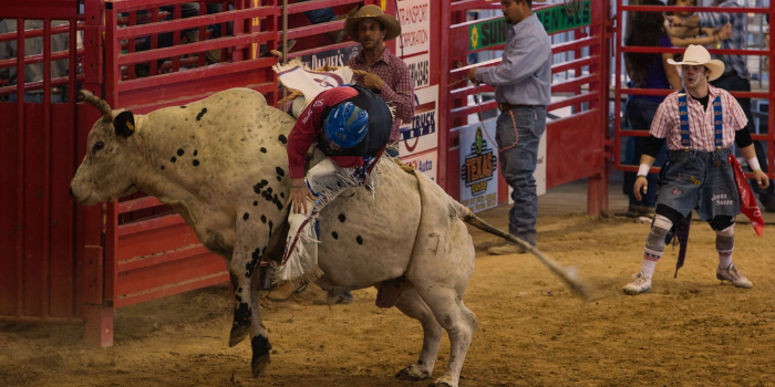 Rodeo Hard Tack & Rodeo Gear | 39995 N Prince Ave Suite 1, San Tan Valley, AZ 85140 | Phone: (520) 682-5481