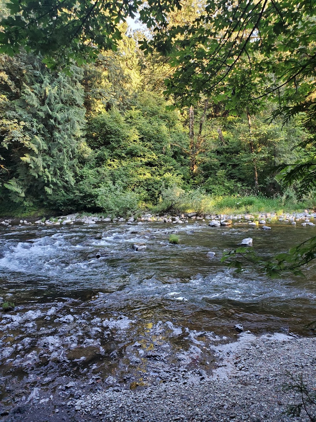 TreeSong Nature Awareness and Retreat Center | 41 Tree Ific Dr W, Washougal, WA 98671, USA | Phone: (360) 837-8733