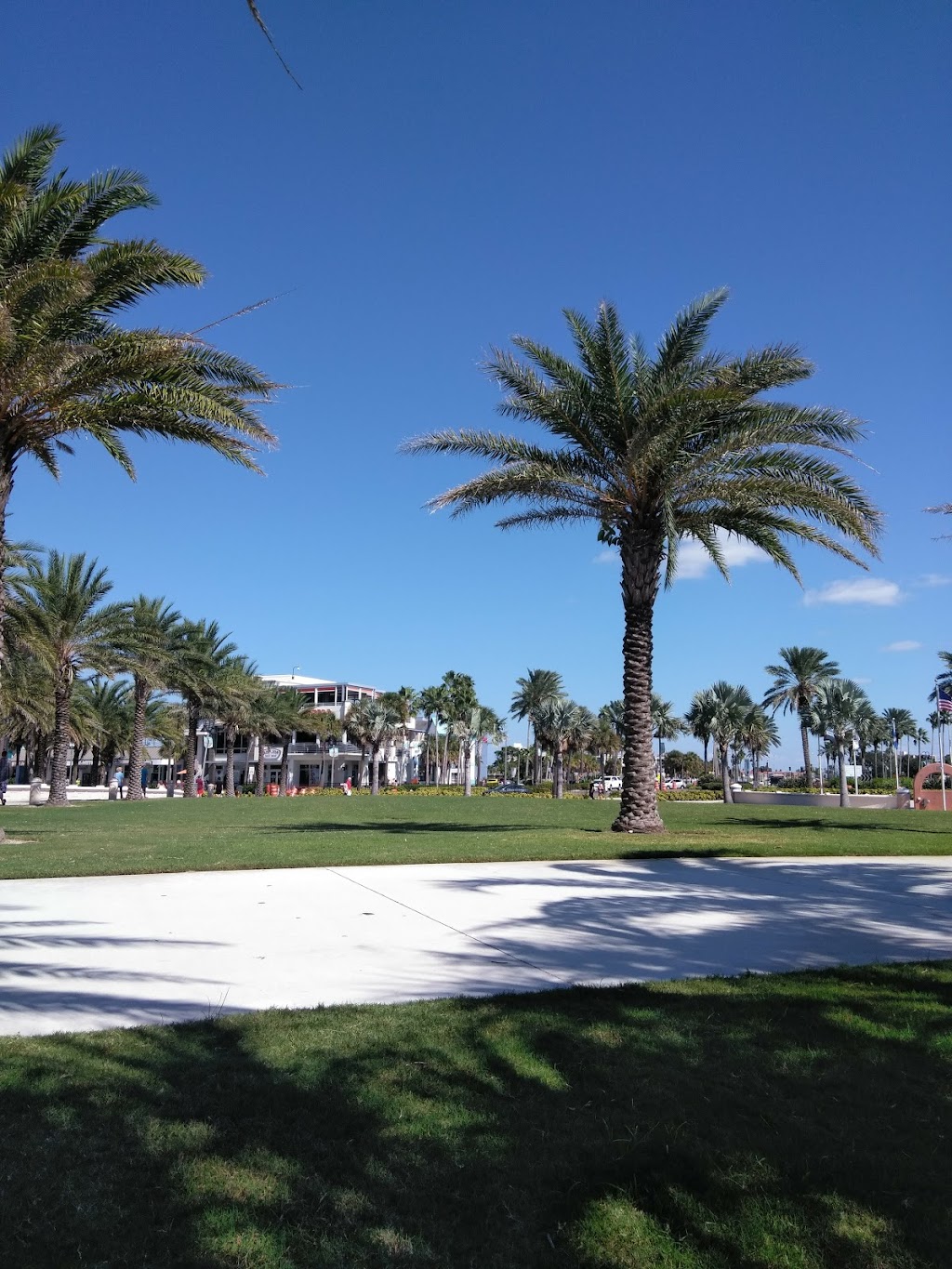 Pier 60 Park | Causeway Blvd, Clearwater Beach, FL 33767, USA | Phone: (727) 462-6466