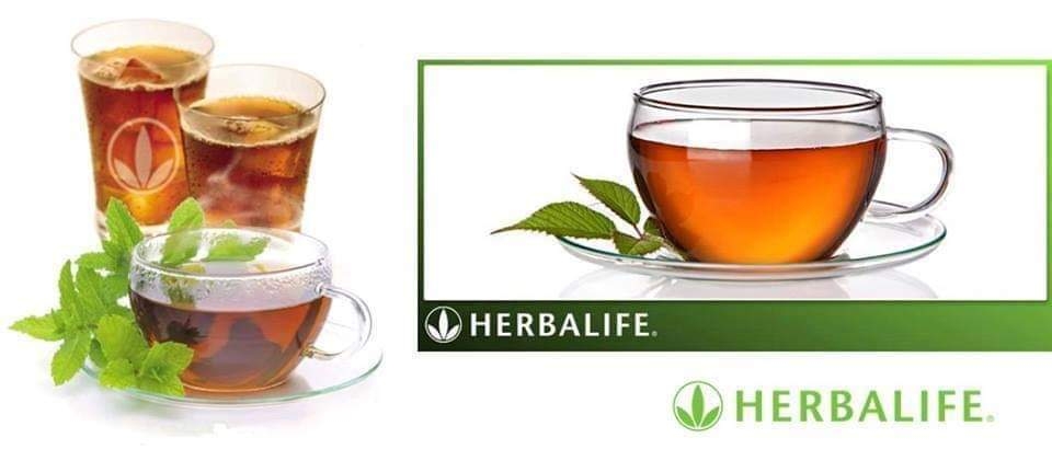 Herbalife Distributor - Kay Wilson | 8000 N Firethorn Ave, Tucson, AZ 85741, USA | Phone: (520) 258-9934