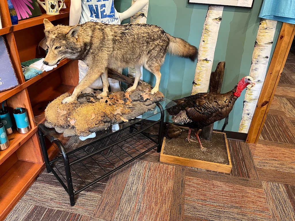 Owlet Gift Shop at McDanels Launch Area | 118 N Shore Dr, Portersville, PA 16051, USA | Phone: (724) 368-9185