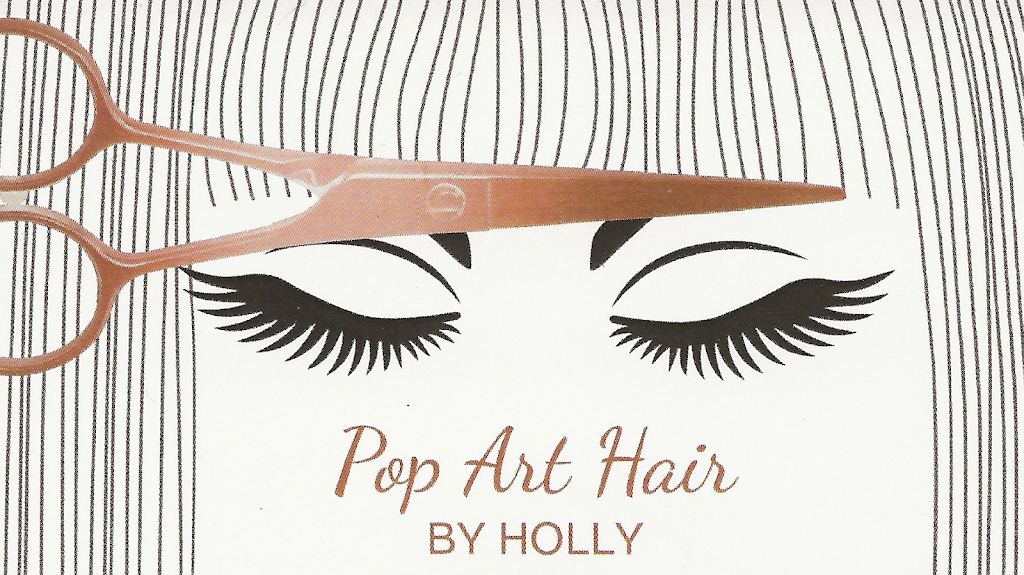 Pop Art Hair by Holly | 3716 W Washington St, West Bend, WI 53095, USA | Phone: (262) 305-5986