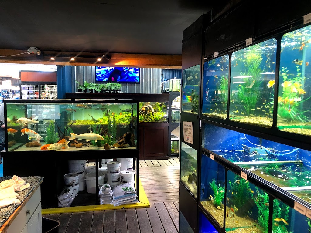 The Reef Aquarium Shop | 5613 N Keystone Ave, Indianapolis, IN 46220, USA | Phone: (317) 253-9695