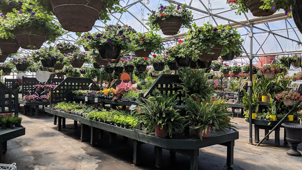 Scheiderer Farms Greenhouse | 13436 OH-38, Marysville, OH 43040, USA | Phone: (937) 642-2093