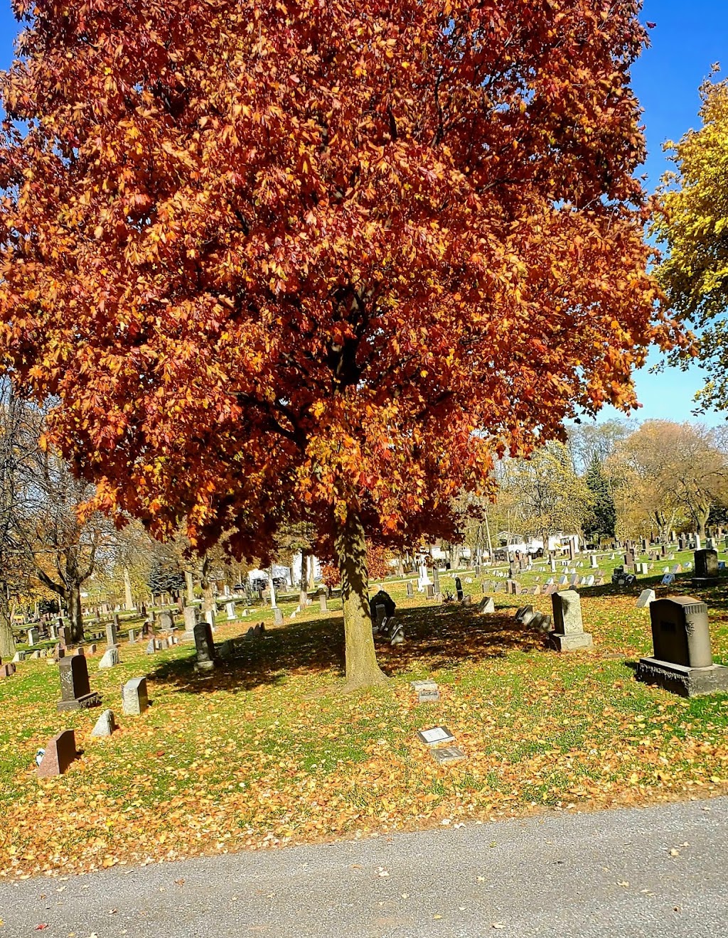 Riverdale Cemetery Association | 5605 Old Lewiston Rd, Lewiston, NY 14092, USA | Phone: (716) 285-4968