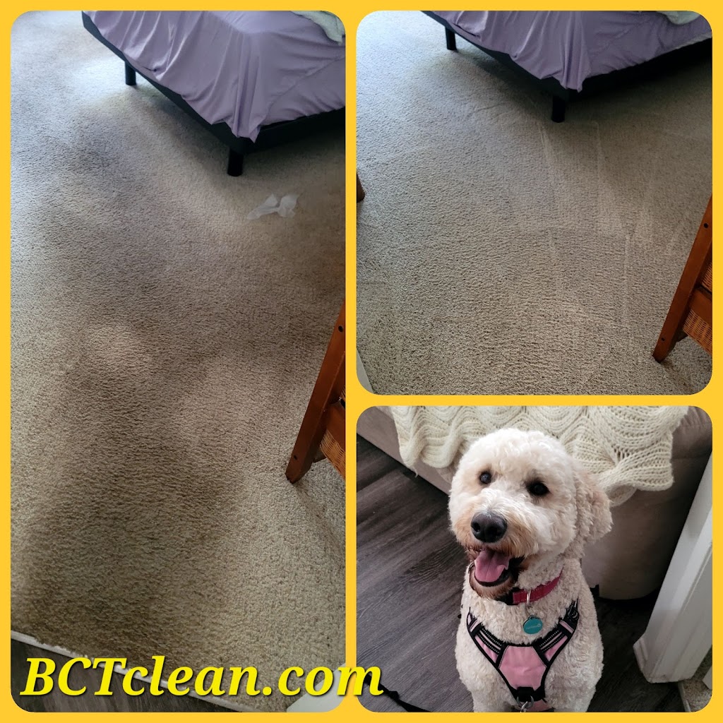 Better Call Tony Carpet Care | 1954 Willow Ridge Dr, Vista, CA 92081, USA | Phone: (858) 442-2147