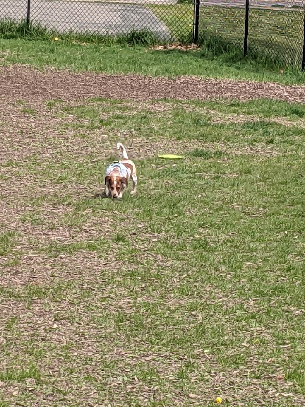 Lauderdale Dog Park | 1885 Fulham St, Lauderdale, MN 55113, USA | Phone: (651) 792-7650