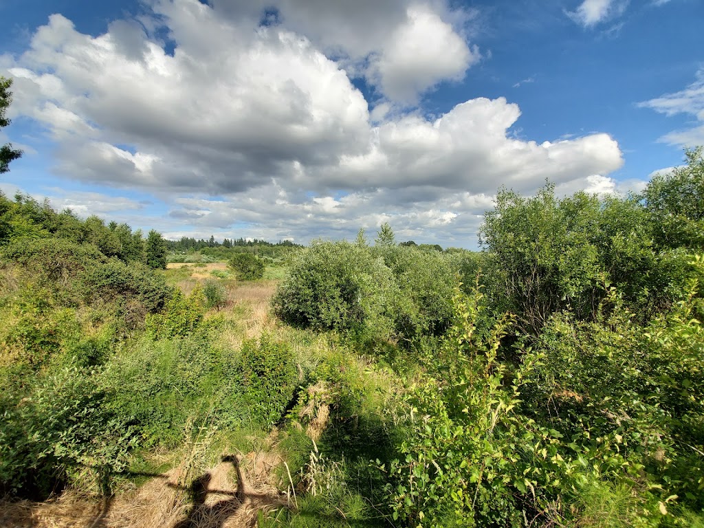 Jackson Bottom Wetlands Preserve | 770 S 1st Ave, Hillsboro, OR 97123, USA | Phone: (503) 681-6206