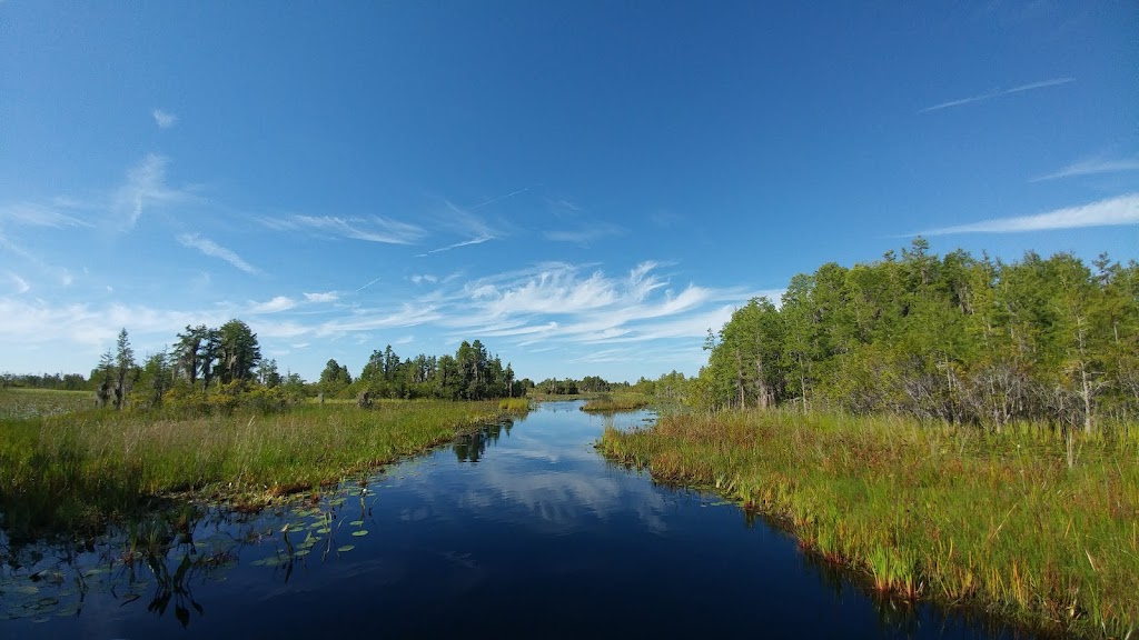 Okefenokee National Wildlife Refuge | 4155 Suwannee Canal Road, Folkston, GA 31537, USA | Phone: (912) 496-7836