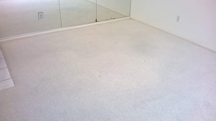 Caldwell Carpet & Tile Cleaning | 2564 Grove St, Sarasota, FL 34239, USA | Phone: (941) 724-1638