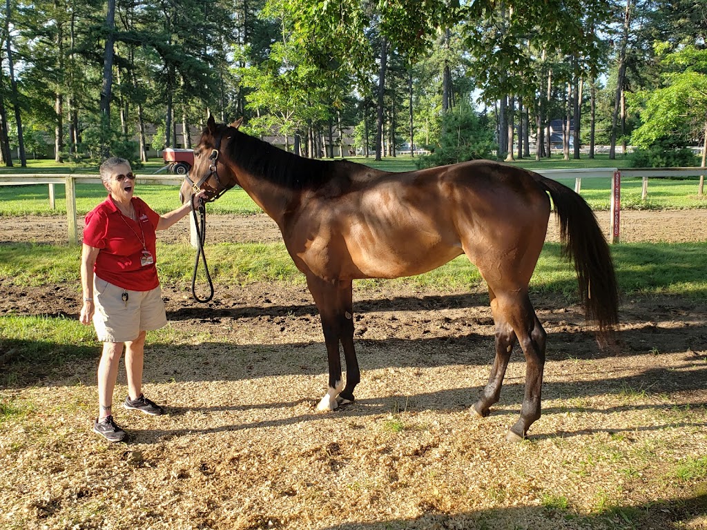 Saratoga Racetrack | 267 Union Ave, Saratoga Springs, NY 12866, USA | Phone: (518) 584-6200