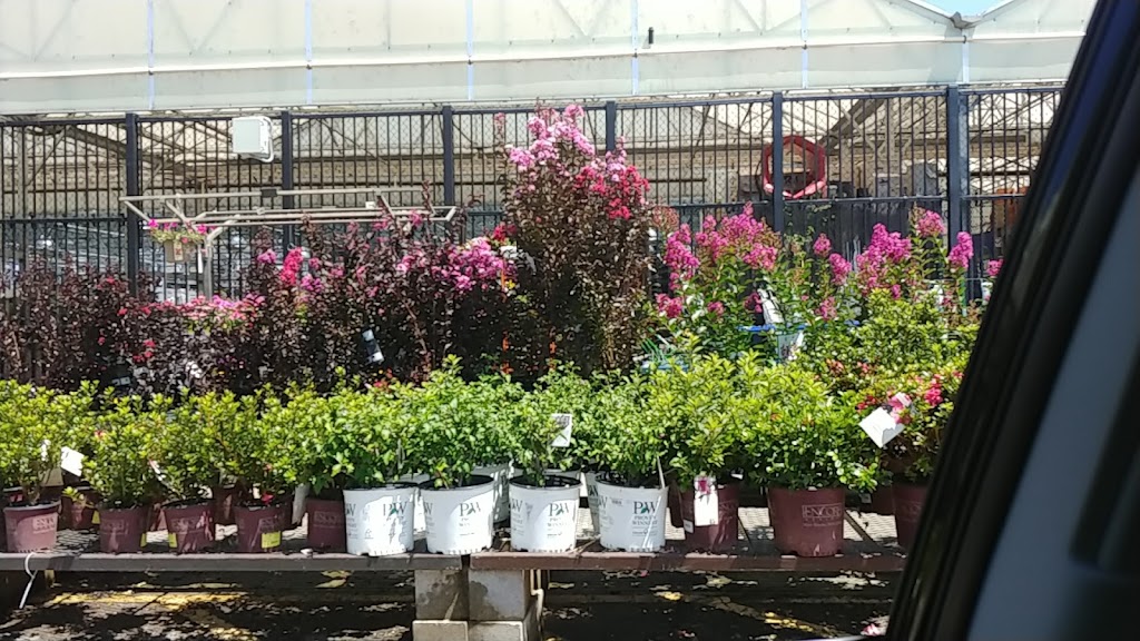 Lowes Garden Center | 8370 Camp Creek Blvd, Olive Branch, MS 38654 | Phone: (662) 890-9720