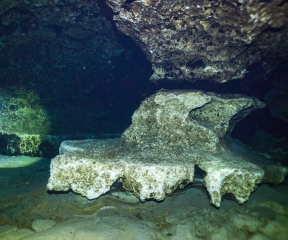 Bella Bay Divers | 14851 State Rd 52 Unit 107, Hudson, FL 34669, USA | Phone: (813) 293-1907