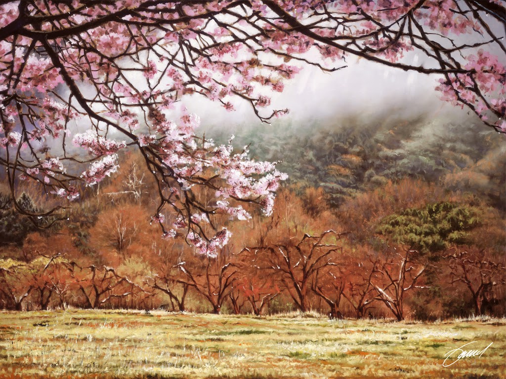 Wildland Images | 38561 Potato Canyon Rd, Yucaipa, CA 92399, USA | Phone: (909) 790-5632