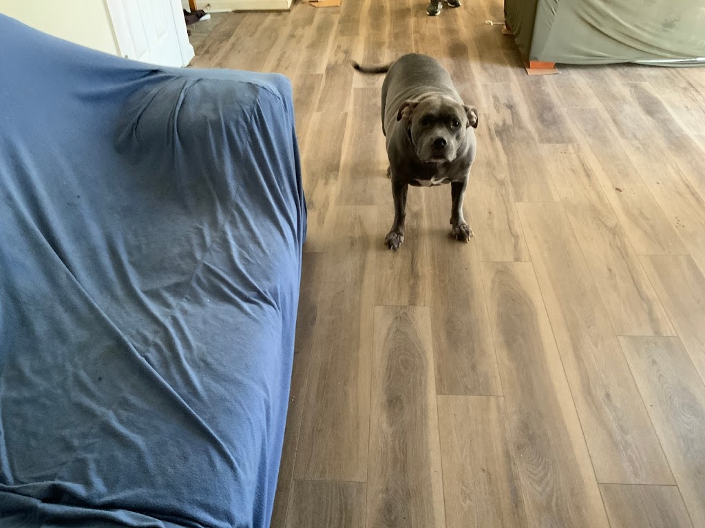 Floors2Day | 580 Bellerive Rd Suite 5A, Annapolis, MD 21409, USA | Phone: (877) 356-6759