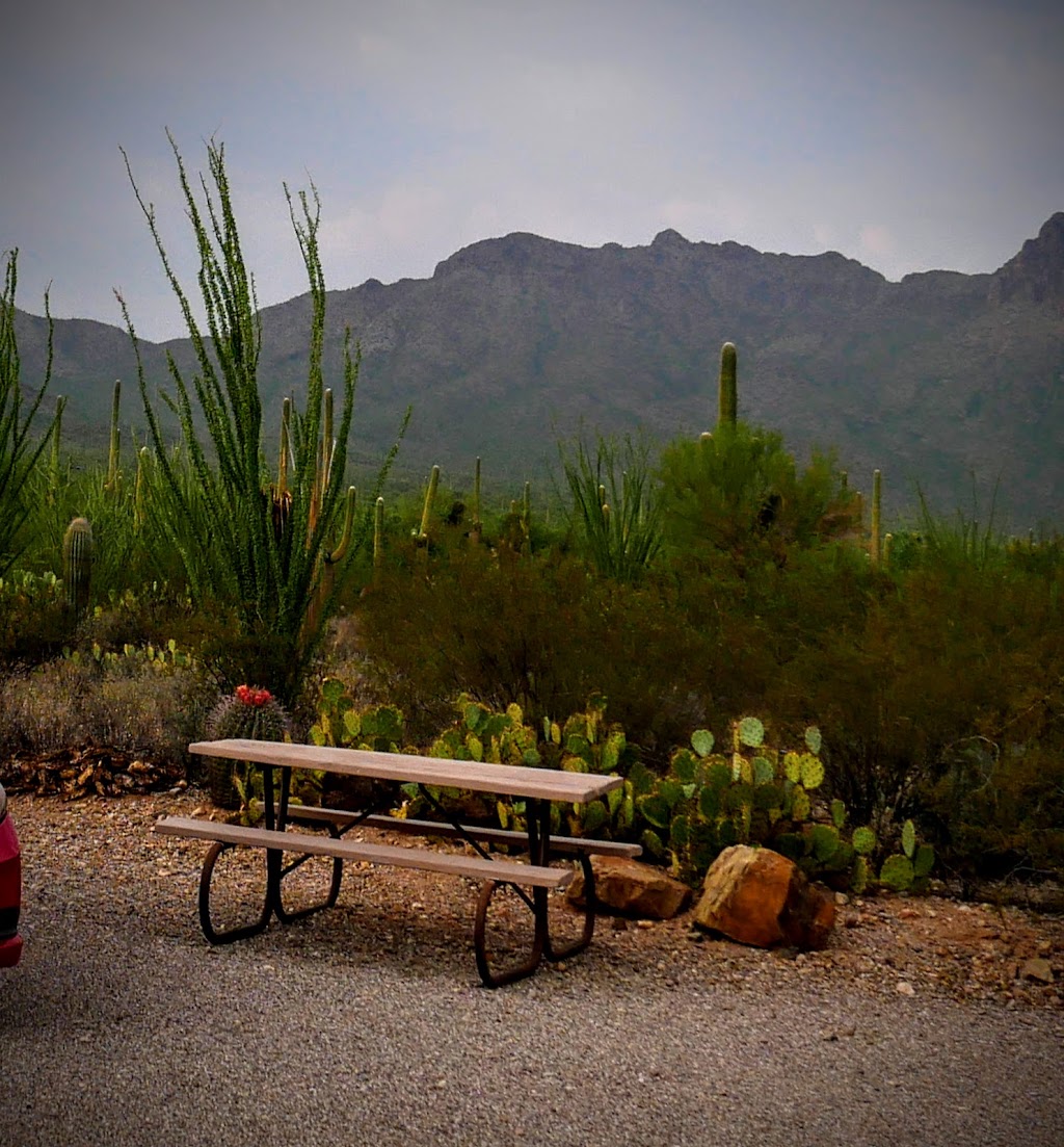 Gilbert Ray Campground | 8451 W McCain Loop, Tucson, AZ 85735, USA | Phone: (520) 403-8116