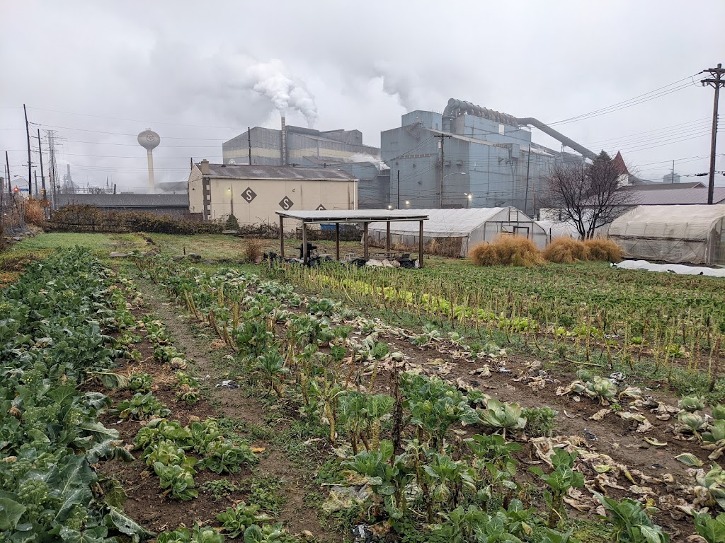 Braddock Farms - Grow Pittsburgh | 1000 Braddock Ave, Braddock, PA 15104, USA | Phone: (412) 362-4769