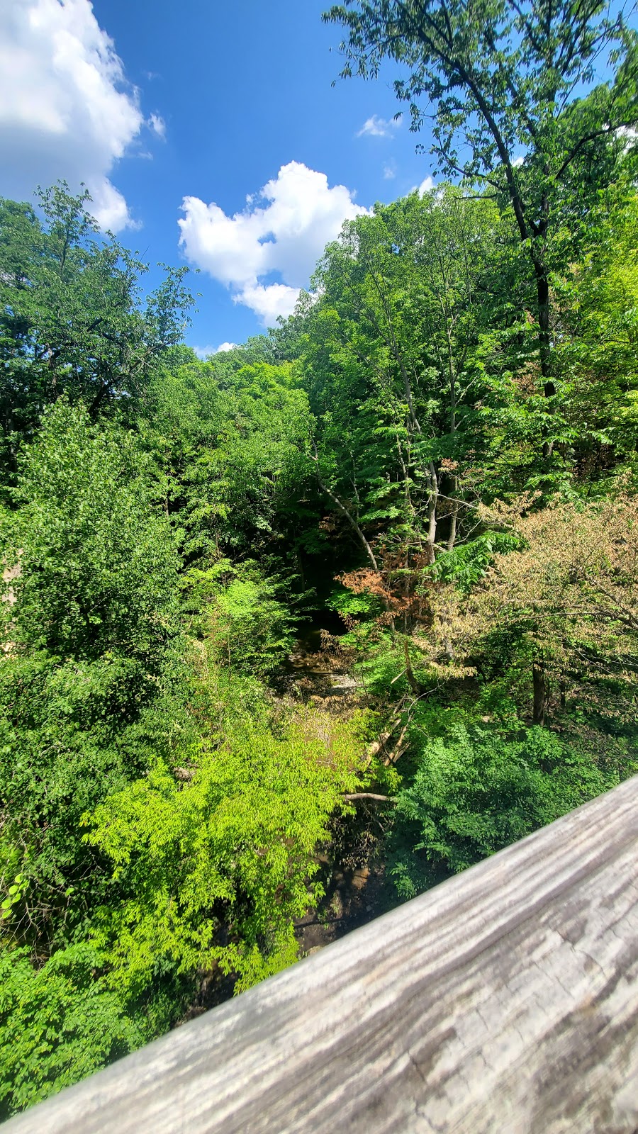 Plum Creek Greenway Trail - Goodenow Road Access | E Goodenow Rd, Crete, IL 60417, USA | Phone: (815) 727-8700