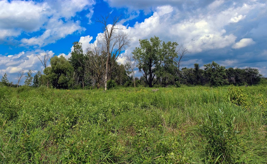 Waterloo Prairie State Natural Area | W8288 Blue Joint Rd, Waterloo, WI 53594, USA | Phone: (608) 266-0394