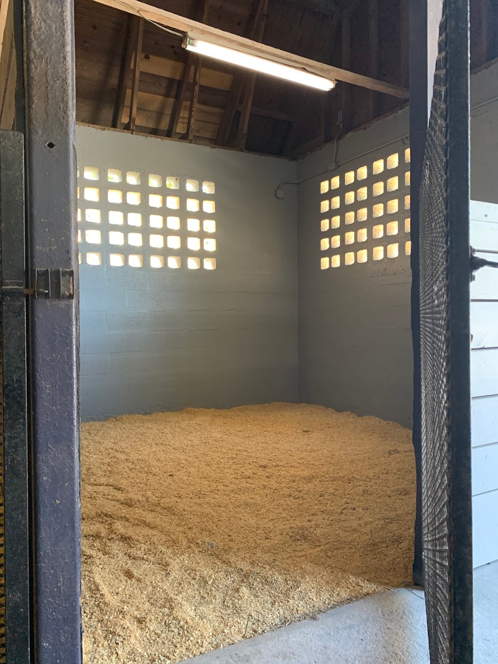 P&P Equestrian | 13901 SW 26th St, Davie, FL 33325, USA | Phone: (630) 207-2158