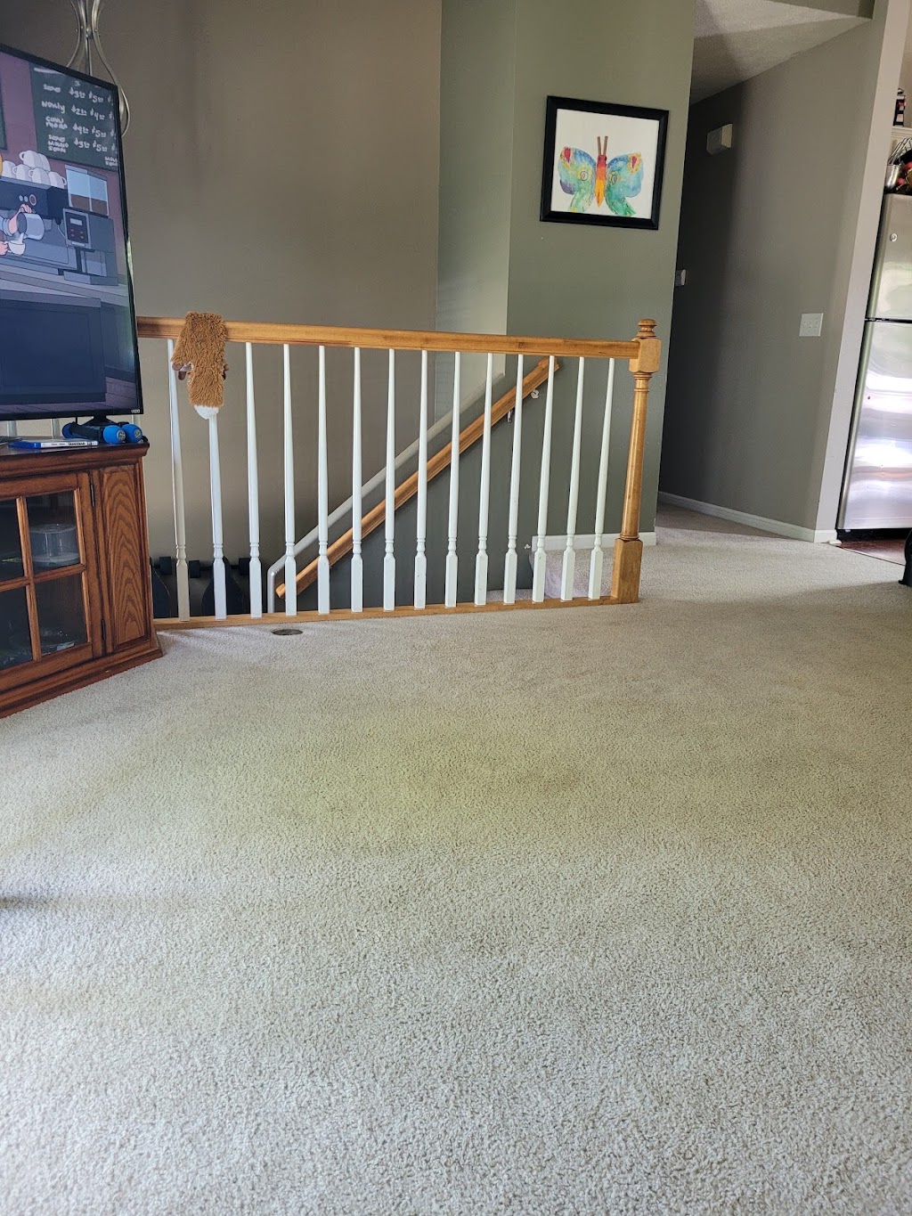 Quality Carpet Cleaning Omaha | 4607 198th Ave, Omaha, NE 68135, USA | Phone: (402) 896-6228