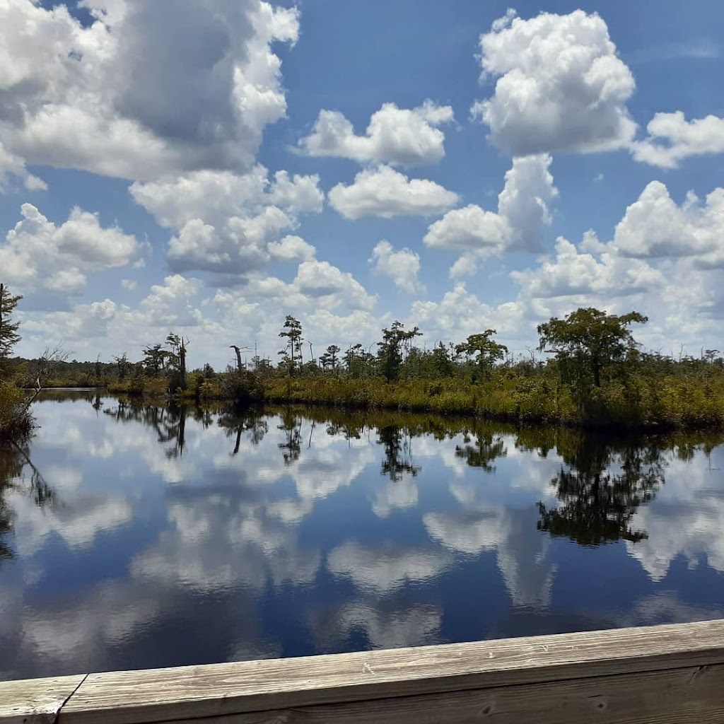 White Oak Conservation Center (Yulee, FL) | 581705 White Oak Rd, Yulee, FL 32097, USA | Phone: (904) 225-3200