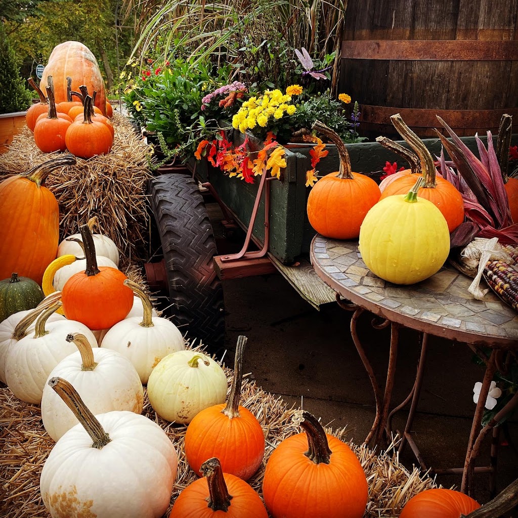 Dragonfly Tea Room & Gift Shop | 215 Market St W, Canal Fulton, OH 44614, USA | Phone: (330) 854-4832