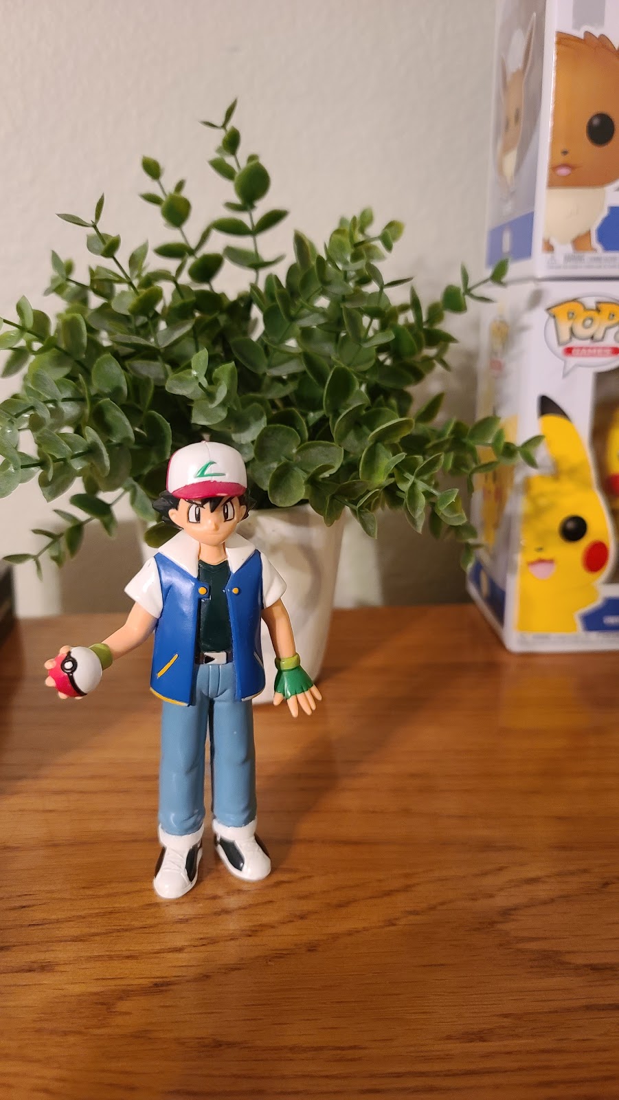 PokeKang Cards & Collectibles | 4835 W Eau Gallie Blvd, Melbourne, FL 32934, USA | Phone: (321) 775-3309