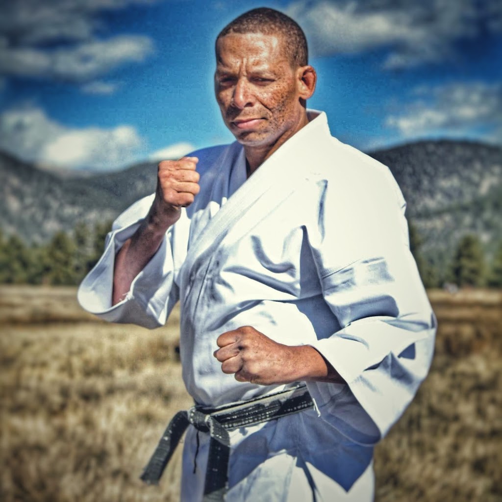 Killer Bees Taekwondo - The Martial Way | 2902 N 68th St, Scottsdale, AZ 85251, USA | Phone: (480) 935-9888