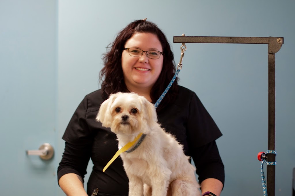 Centerville Animal Hospital | 300 S, Centerville Turnpike S, Chesapeake, VA 23322, USA | Phone: (757) 482-9410