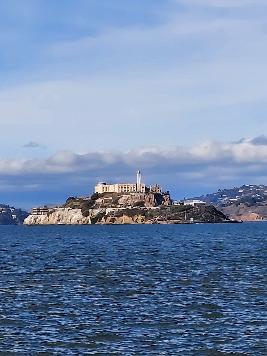 SF Bay Whale Watching | Pier 39, Beach St, San Francisco, CA 94133, USA | Phone: (415) 331-6267