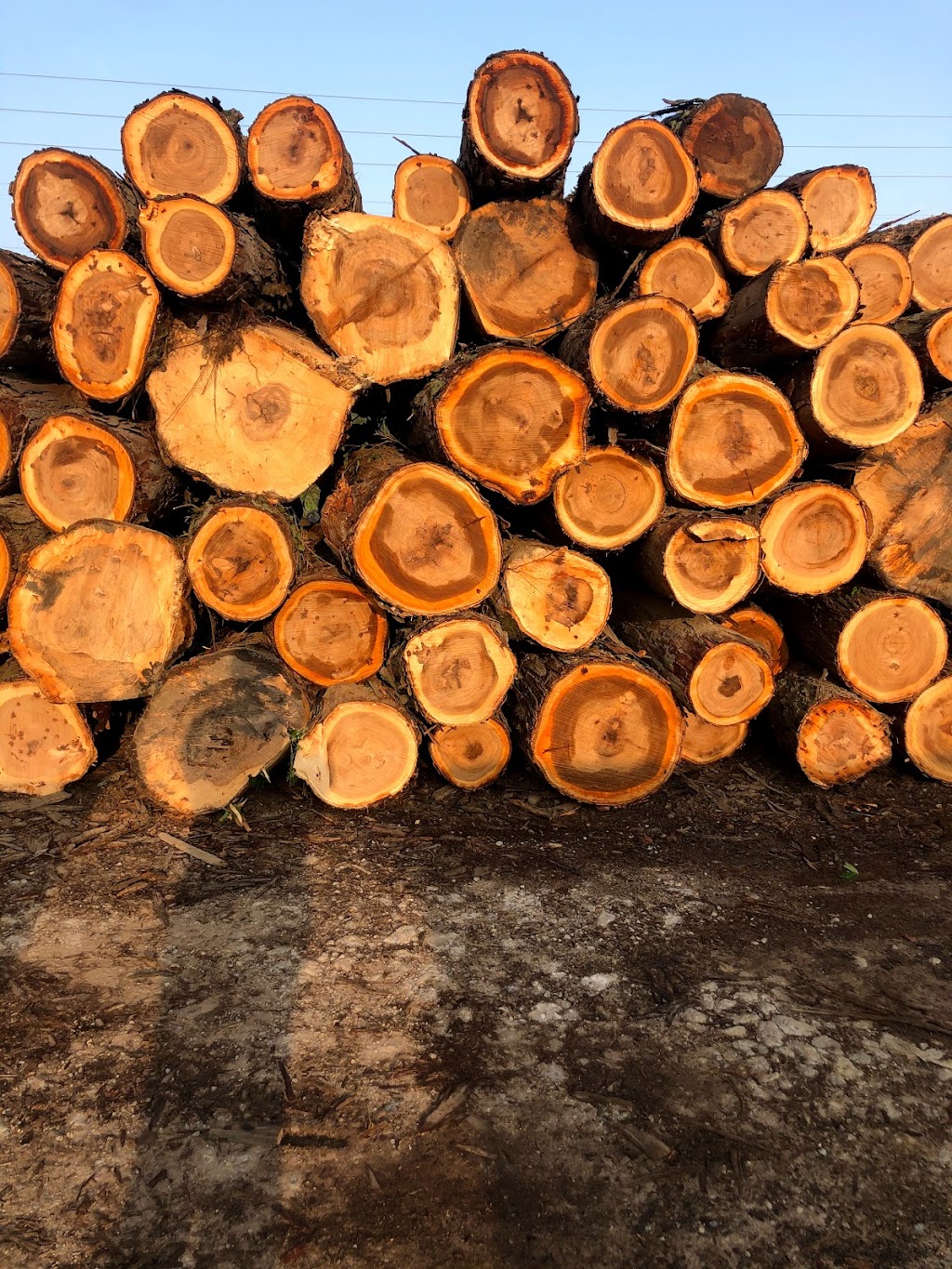 Alben Sawmill LLC | 609 W Park Rd, Portersville, PA 16051, USA | Phone: (724) 968-7760