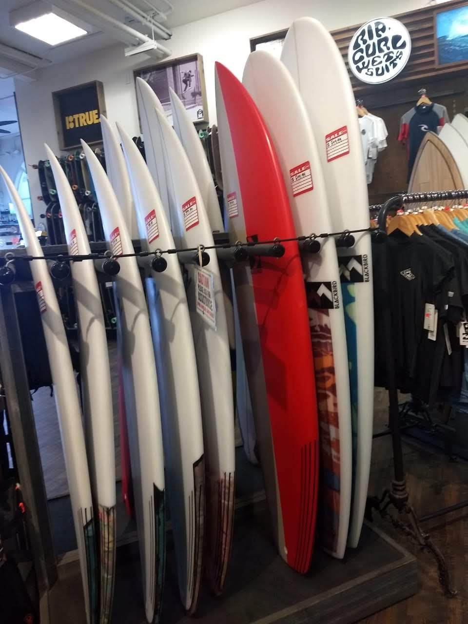 Sun Diego Boardshop | 3126 Mission Blvd, San Diego, CA 92109, USA | Phone: (858) 866-0108