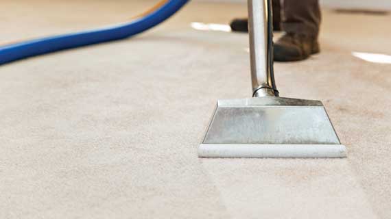 Green Dry Carpet Cleaning | 6372 Greenland Rd #3, Jacksonville, FL 32258, USA | Phone: (904) 373-8573