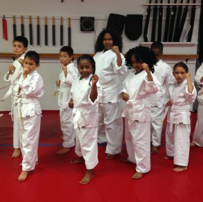 American Karate Academy Cedar Hill | 223 FM1382, Cedar Hill, TX 75104, USA | Phone: (972) 291-1086