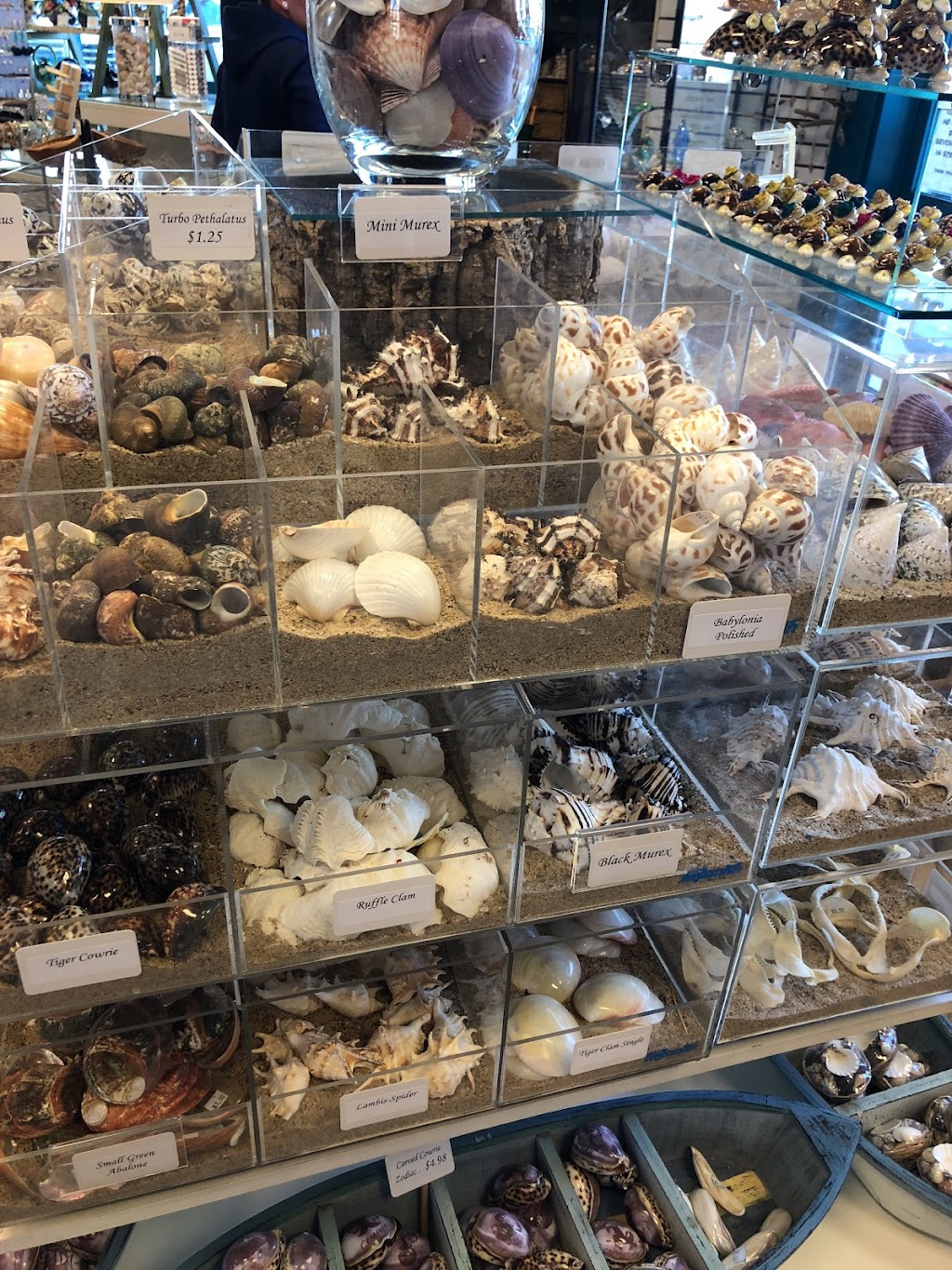 Bonnies Gift Shop | 17 Municipal Wharf # B, Santa Cruz, CA 95060, USA | Phone: (831) 458-1144