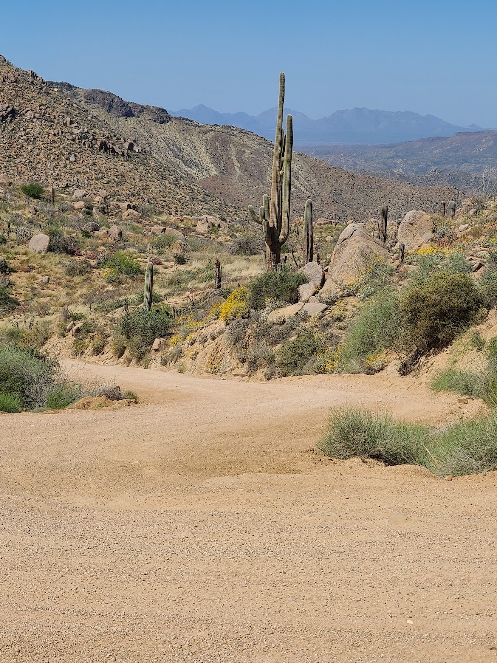 Lone Pine Trailhead | Pigeon Spring Rd, Tonto Basin, AZ 85553, USA | Phone: (480) 610-3300