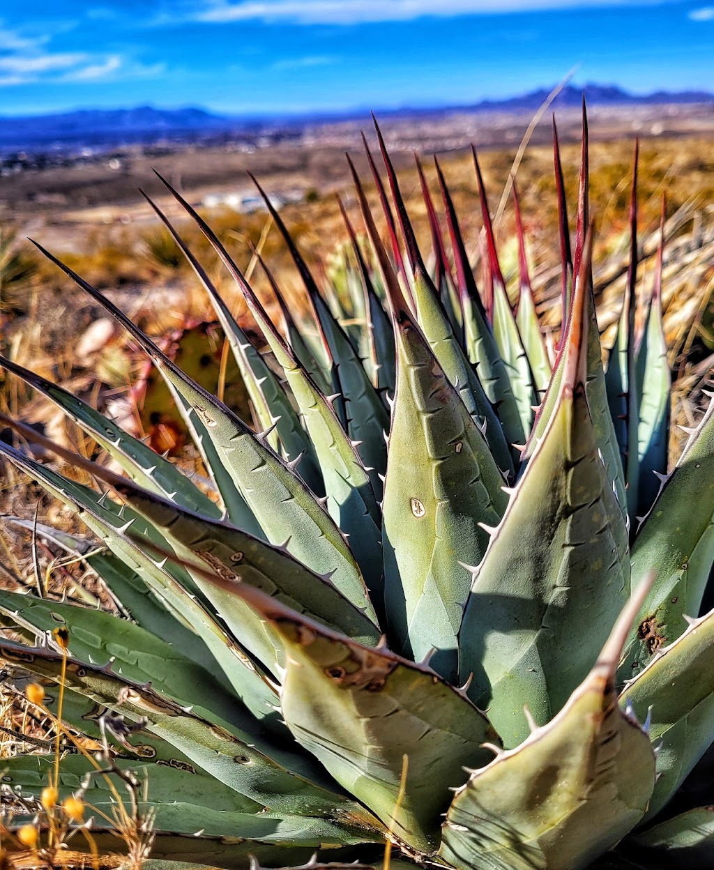 Tortugas Mountain | Las Cruces, NM 88011, USA | Phone: (575) 525-4300