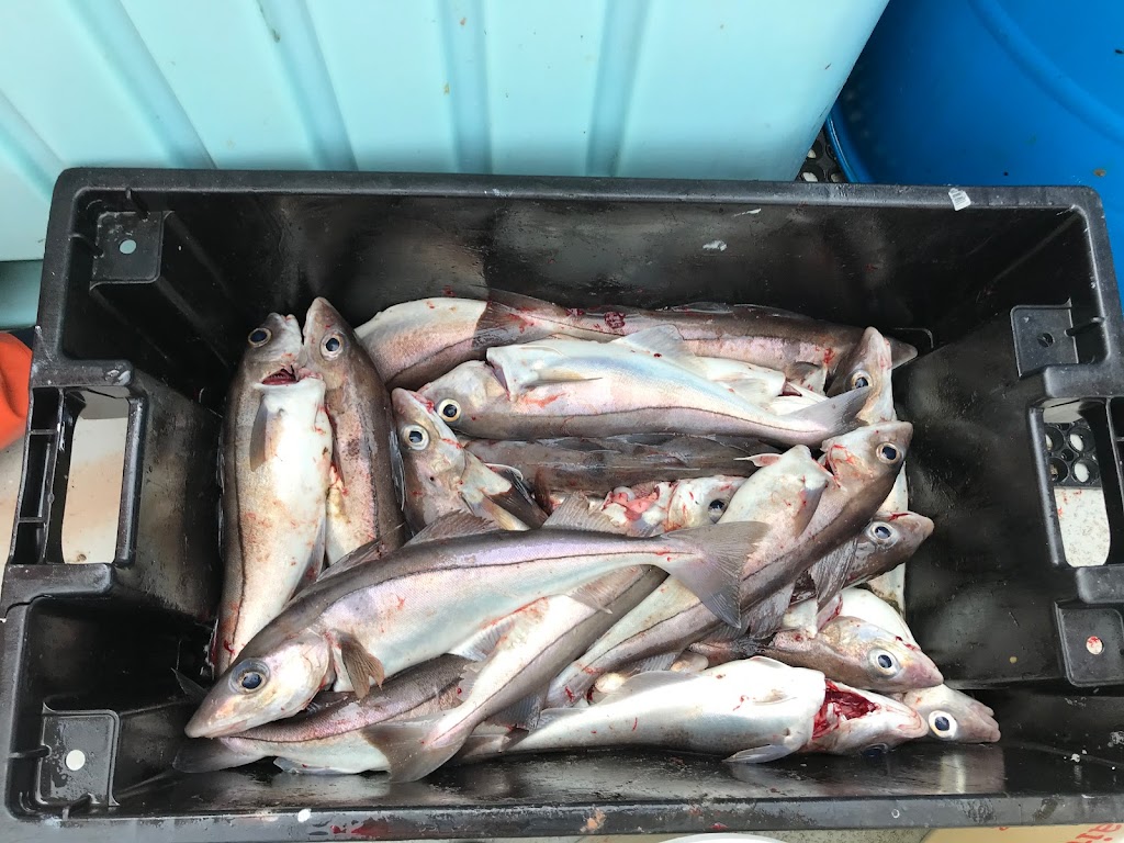 Connemara Bay Fishing Charters | 47 Crafts Road, Gloucester, MA 01930, USA | Phone: (978) 283-0197