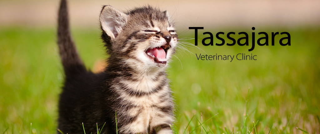 Tassajara Veterinary Clinic | 3436 Camino Tassajara, Danville, CA 94506, USA | Phone: (925) 736-8387